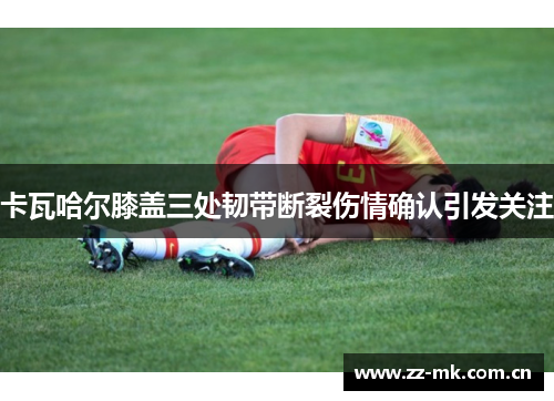 卡瓦哈尔膝盖三处韧带断裂伤情确认引发关注 卡瓦哈尔膝盖三处韧带断裂伤情确认引发关注